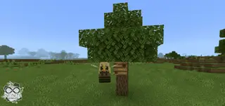 Bee Queen in Minecraft
