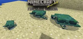 Turtle Mod (Concept)