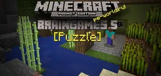 BrainGames 5 Puzzle