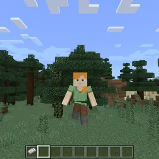 Animation Optimization 1.19+
