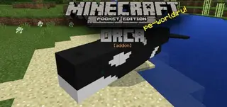 Orca Mod