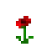 NoMorePoppies