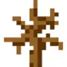 Bush