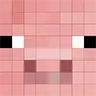 No Pig Xray