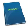 Report
