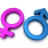 ChatGender