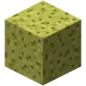 [Mystery Box] » The SpongeBox - 1.7 - 18