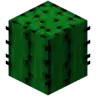 CactusHopper