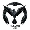 HawkAC Lite | Zero False-Positive Combat Exploit Addon | GrimAC [1.20-1.21]
