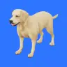 3D Pets | A Real 3D Dog That Follows You and Plays Fetch
