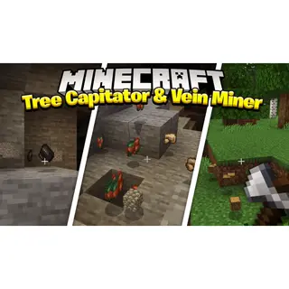 Tree Capitator and Vein Miner