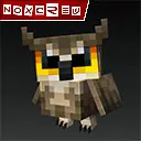 Owls